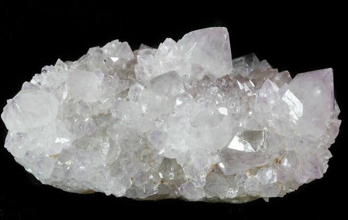 Cactus Quartz Crystals - South Africa #47179